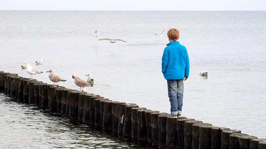 Cultivating Strength with the Power of Courage and Tenacity Cultivating Strength with the Power of Courage and Tenacity