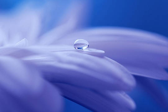 The Survival Instinct and The Two Ways Of Fighting The Survival Instinct and The Two Ways Of Fighting