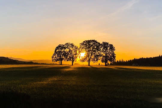 The Ego’s Conflicting Inner Dialogue: If You Can’t Lose It, Use It! The Ego’s Conflicting Inner Dialogue: If You Can’t Lose It, Use It!