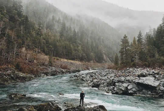 Humanity and Nature Are Not Separate – We Must See Them As One To Fix The Climate Crisis Humanity and Nature Are Not Separate – We Must See Them As One To Fix The Climate Crisis