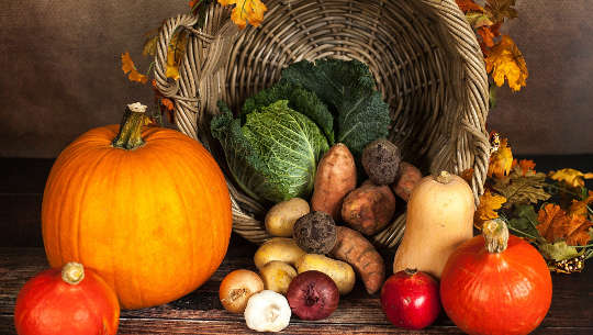 A Season for Everything: The Way Our Ancestors Ate A Season for Everything: The Way Our Ancestors Ate