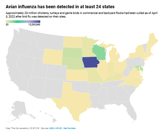 bird flu pandemic2 3 8