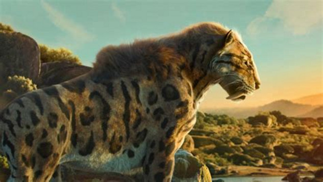 life on this planet 10 26