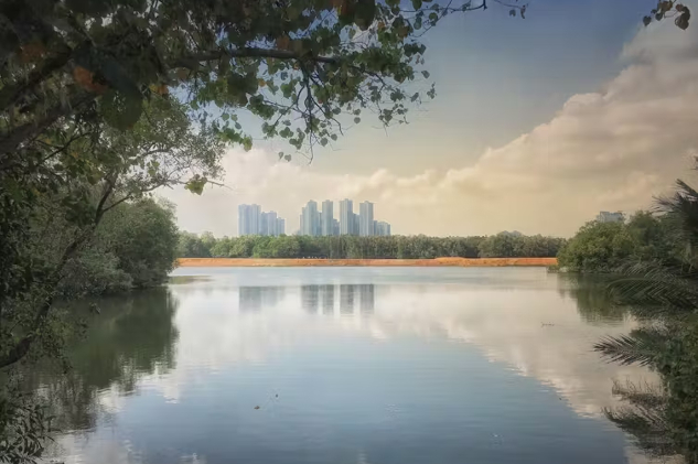 Transformative Change: A Key Idea in Fighting for Climate And Wildlife Transformative Change: A Key Idea in Fighting for Climate And Wildlife