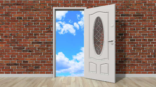 05 17 options for wisdom 4216533 1920