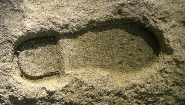 7 Walking Benefits: Boost Health in Just 30 Minutes a Day a shoeprint in the sand