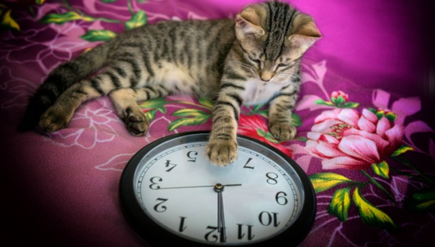 Why It's Time to Break Free from the Serenity Prayer. Image by Gundula Vogel from Pixabay.