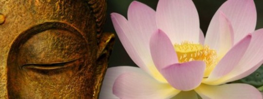 A Compassionate Revolution: From Breakdown to Transformation A Compassionate Revolution: From Breakdown to Transformation