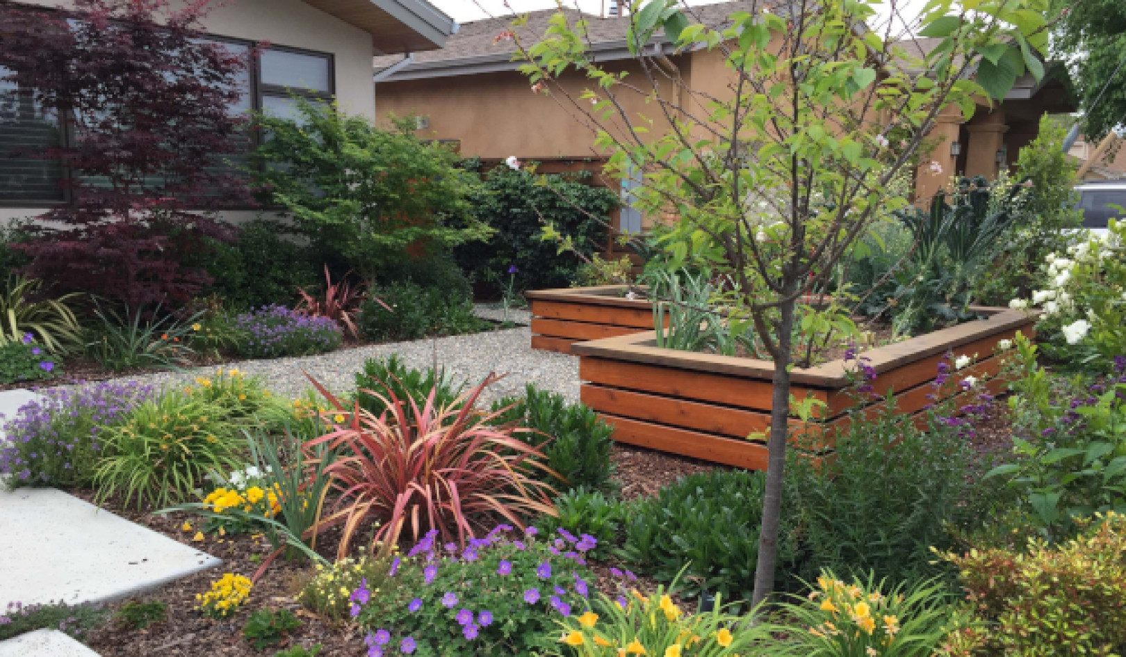 Why Front Yard Gardens Beat Grass: Food, Beauty, and Freedom