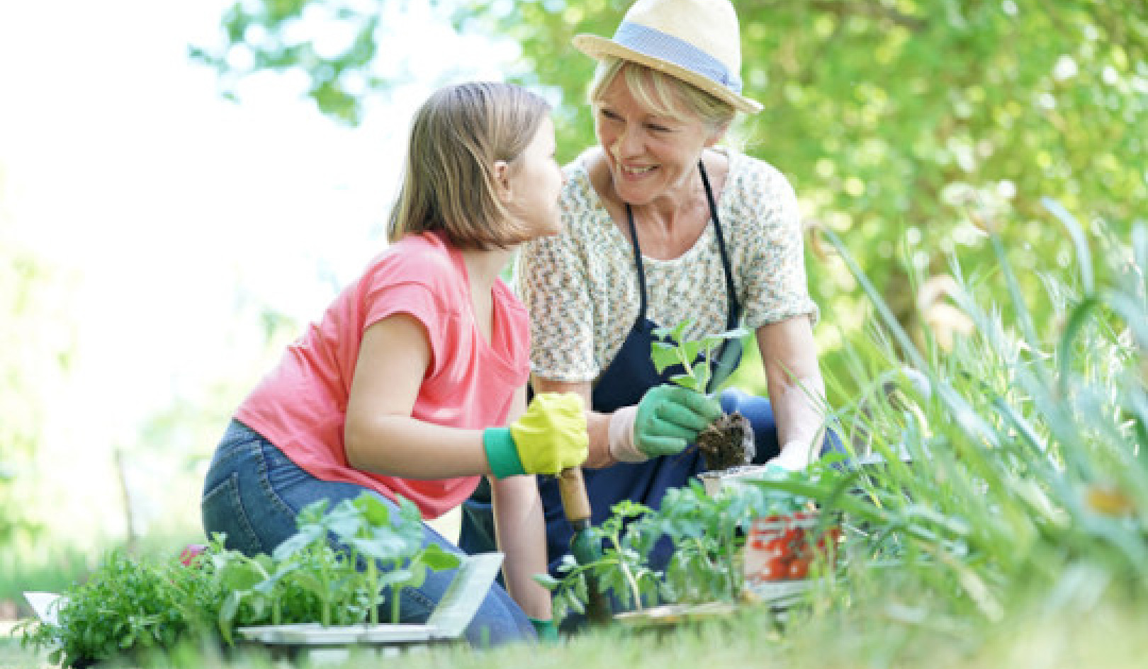 A Day to Reflect on the Mess We Have Made