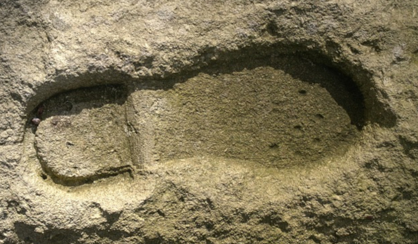 7 Walking Benefits: Boost Health in Just 30 Minutes a Day