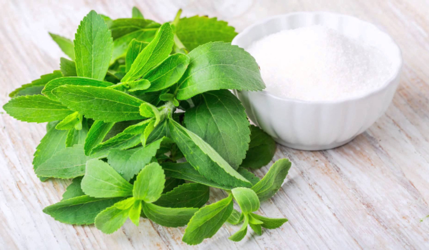 Fermented Stevia Shows Promise Against Pancreatic Cancer Cells